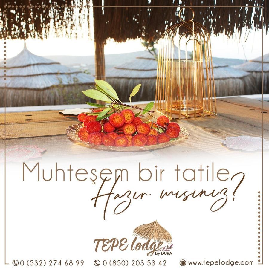 Tepe Lodge เซสเม ภายนอก รูปภาพ